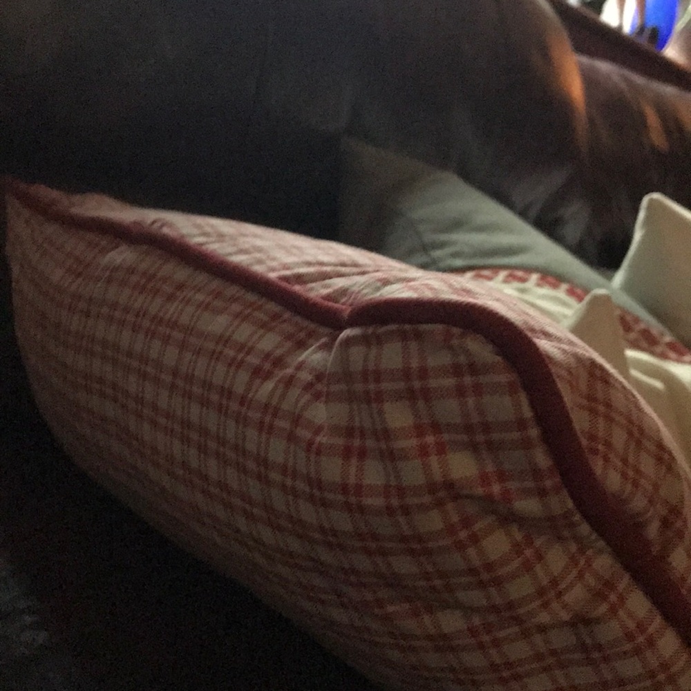 Meet your Posher, Zeke